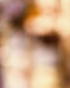 Been Trying To Meet You Nosu Parfum  GATHER