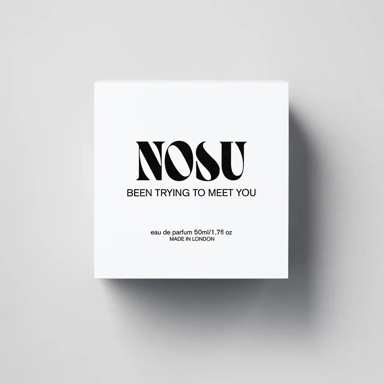 Been Trying To Meet You Nosu Parfum