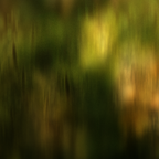 Weald Candle