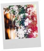 Presser Le Citron Versatile Paris  GATHER