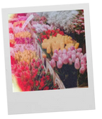 Dimanche Flemme Versatile Paris  GATHER