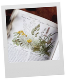 Fleurs d'Été Bienaimé  GATHER