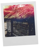 Hides Eau de Parfum by Nosu at GATHER