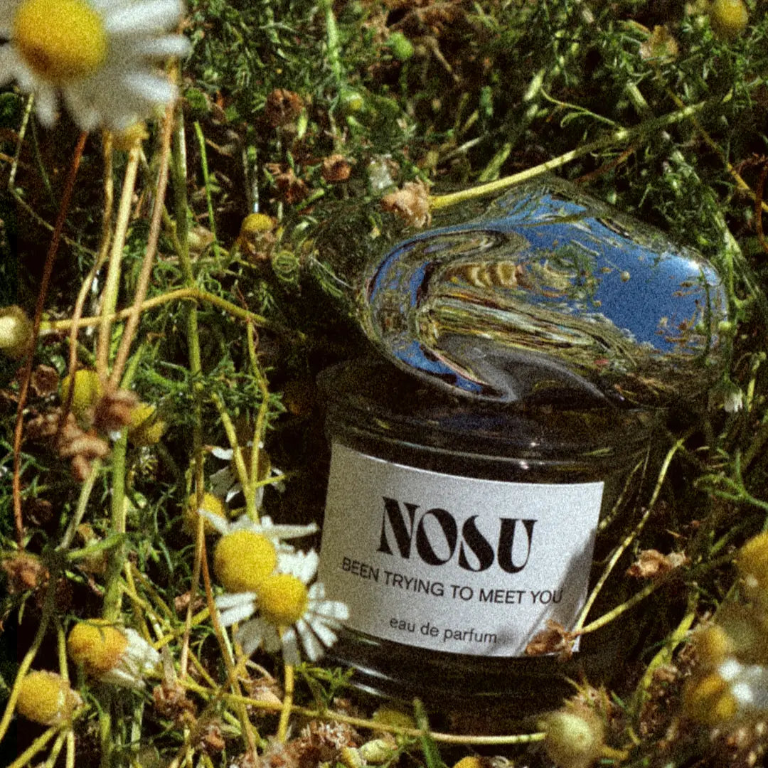 Been Trying To Meet You Nosu Parfum  GATHER