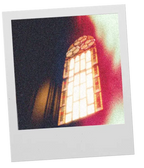 Malvs Nobile 1942  GATHER