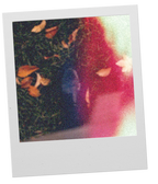 Olfactive O Woody Eau de Parfum GATHER