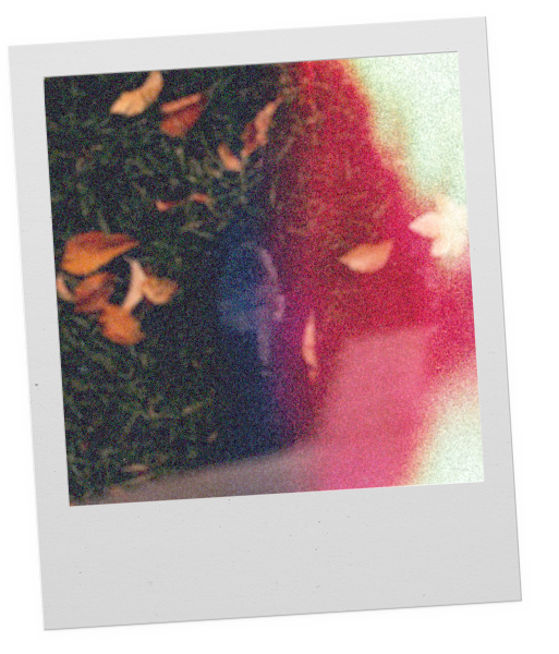 Olfactive O Woody Eau de Parfum GATHER