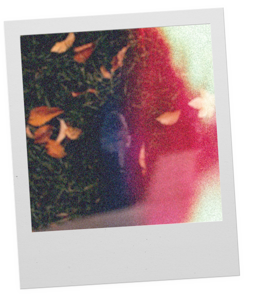 Olfactive O Woody Eau de Parfum GATHER